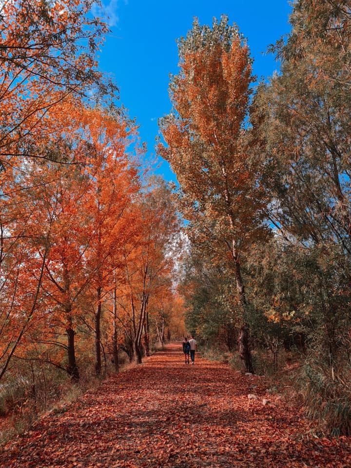 Bucharest parks in autumn