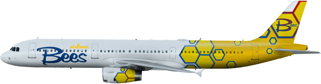 Romanian Air Company BEES Receives Air Operator Certificate
